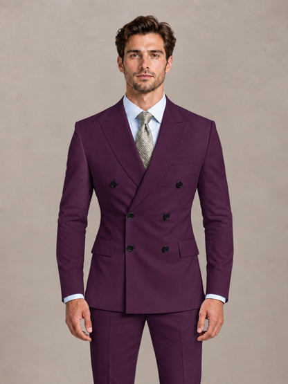 Plum 2 Pieces Slim Fit Double Breasted Men Suits for Wedding Groom