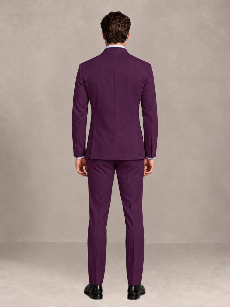 Plum 2 Pieces Slim Fit Double Breasted Men Suits for Wedding Groom