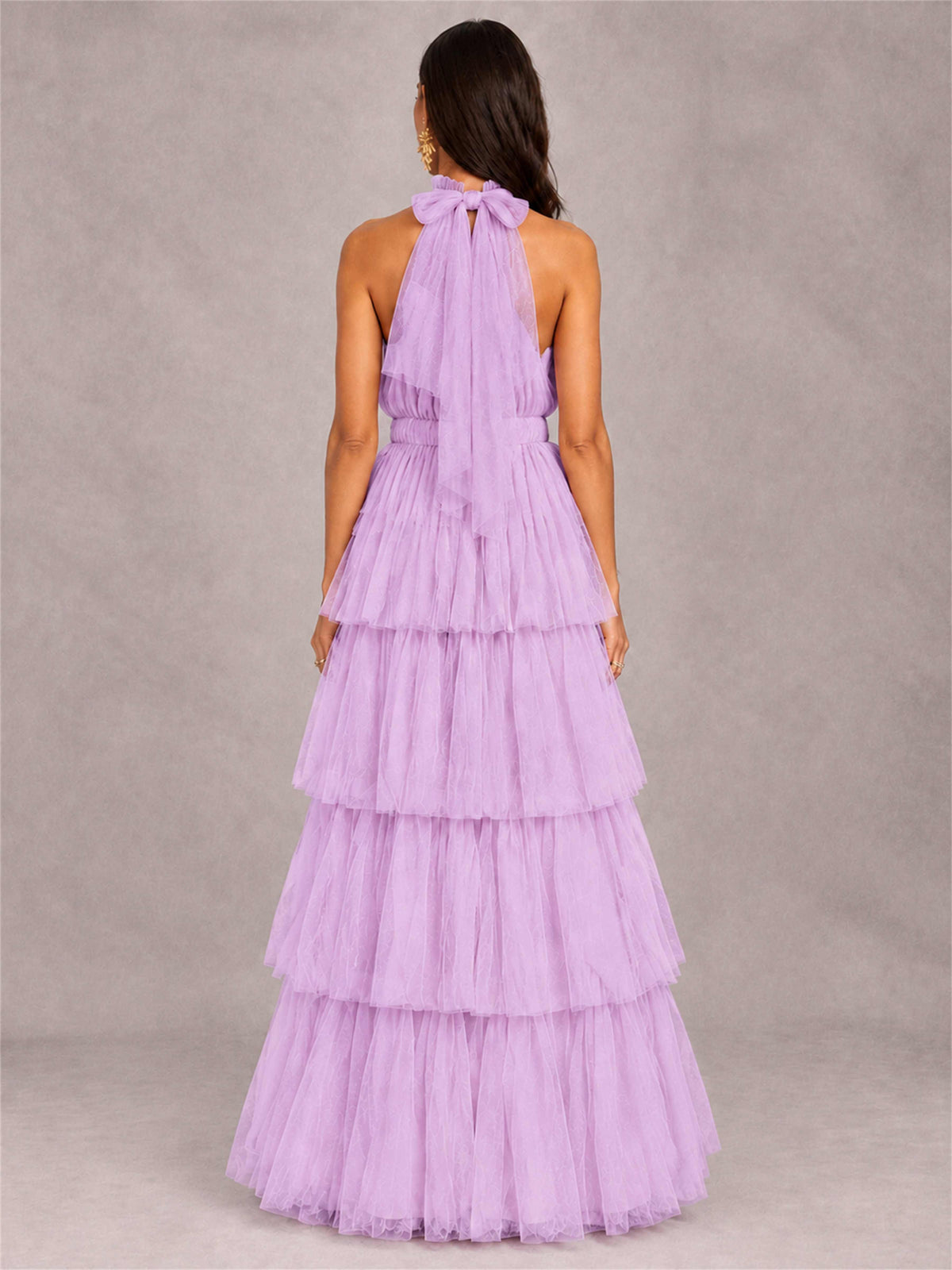 High Neck A-Line Tulle Tiered Sleeveless Floor-Length Wedding Guest Dress