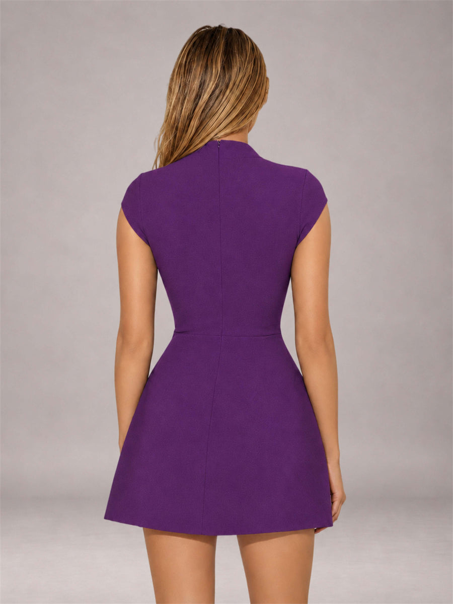 Purple High Neck Cap Sleeve Fit Flare Mini Homecoming Dress