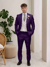 Men's Suits 3 Pieces Classic Fit One Button Classic Design for Party and Wedding