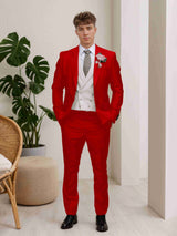Men's Suits 3 Pieces Classic Fit One Button Classic Design for Party and Wedding